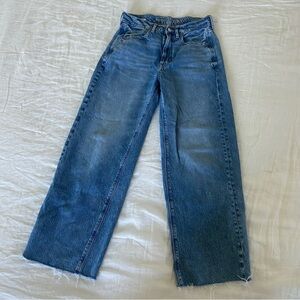 American Eagle Wide Leg Jeans